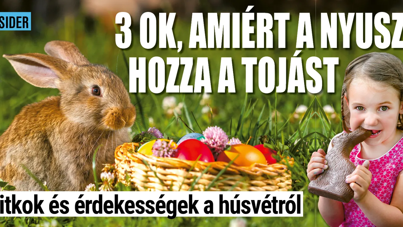 3 ok, amiért a nyuszi hozza a tojást