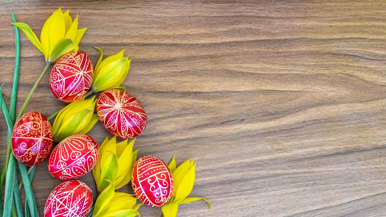 Somogyban 250 kilogrammos nyulat készítettek húsvétra