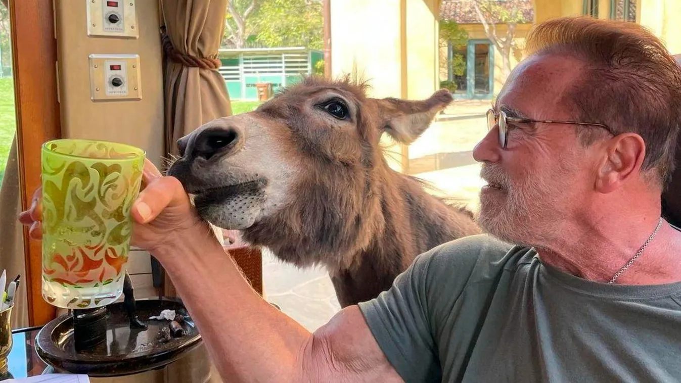 Daily Instagram Posts