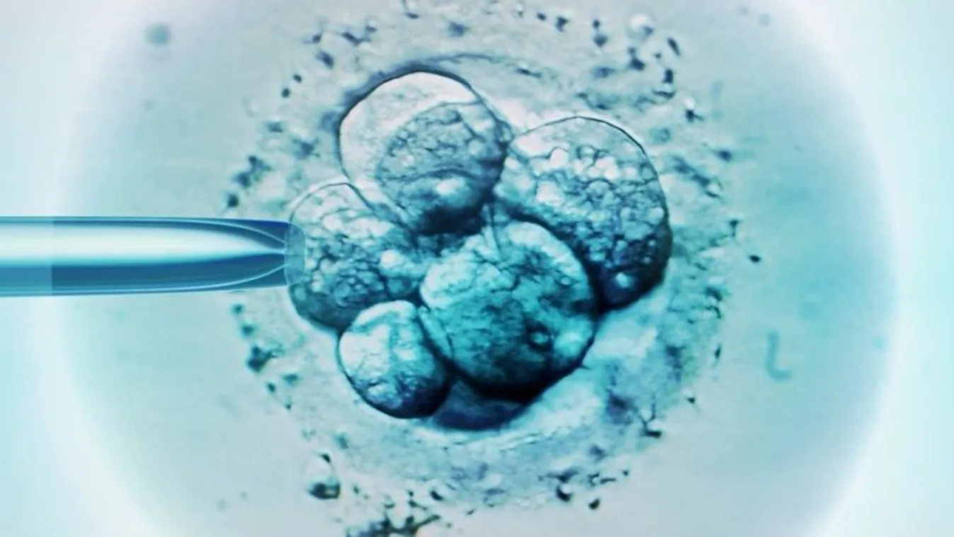 Újra szabad a génmódosított magzatokon kísérletező prof