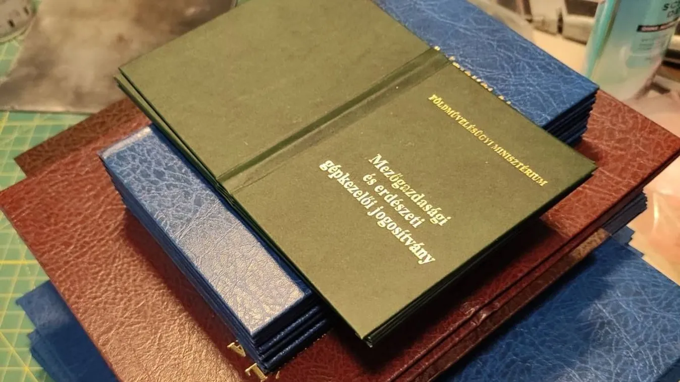 Szinte mindent hamisított a magyar testvérpár – videó