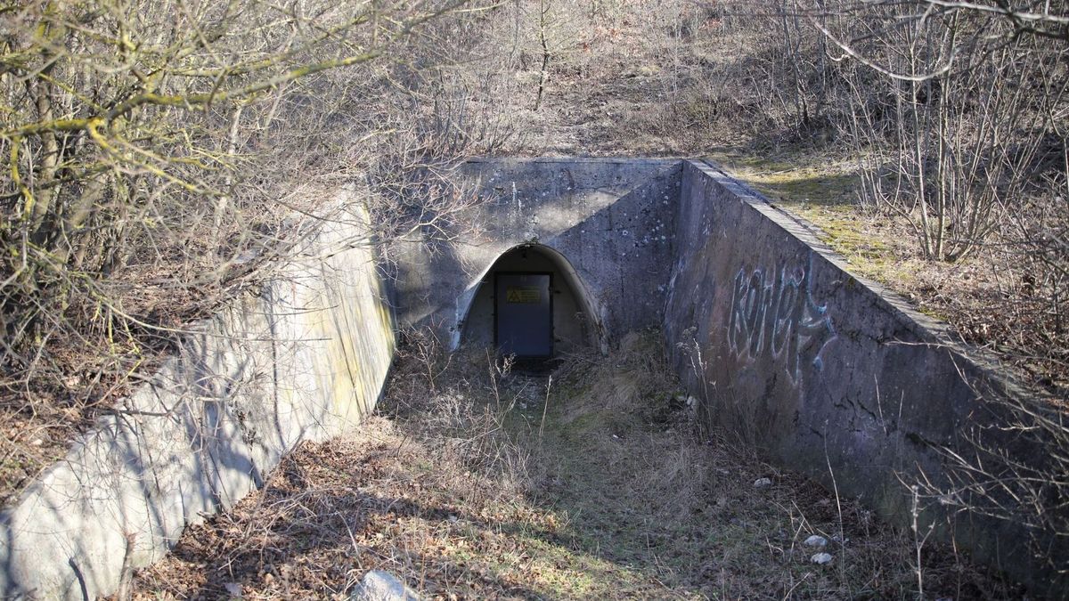 Így pörgött fel a bunker-piac az orosz-ukrán háború miatt