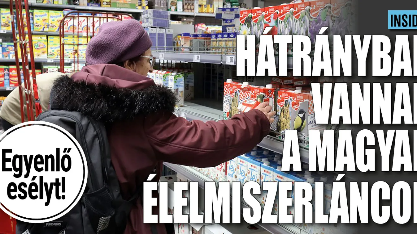 Magyar diszkontok vehetnék át több élelmiszermulti helyét