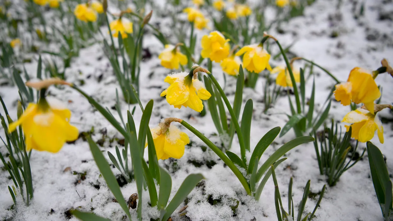 Szeszélyes április: országszerte havazás várható
