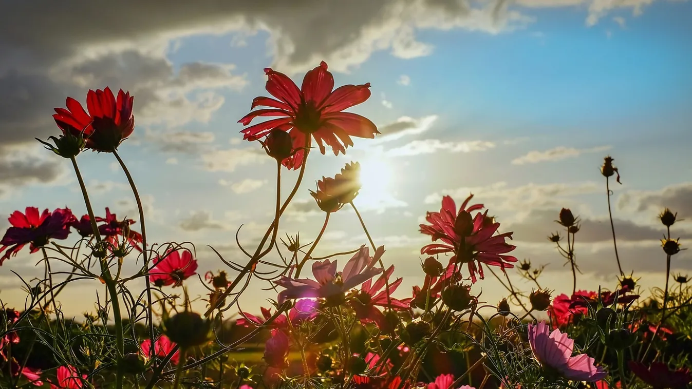 Végre fellélegezhetünk? Kiderült, milyen időre számíthatunk a húsvéti hosszú hétvégén
