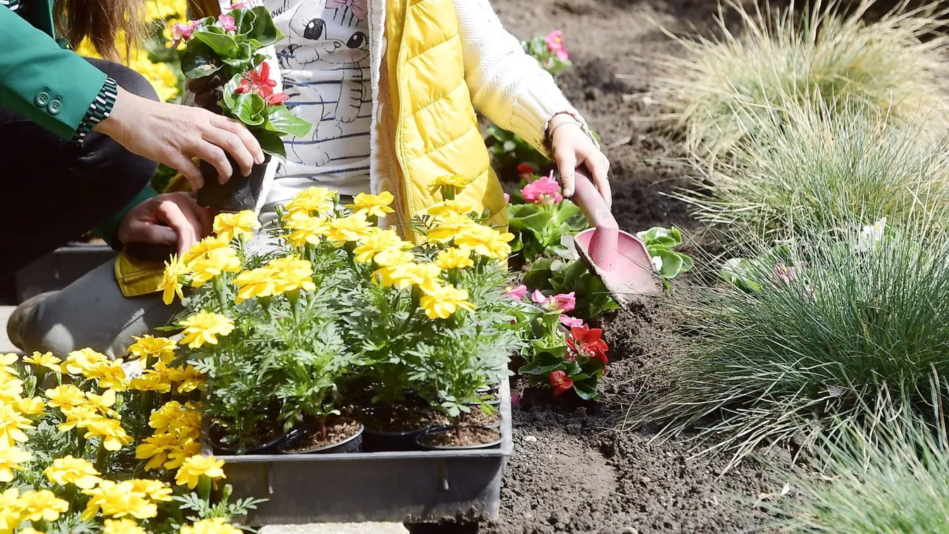 Milyen a jó virágföld?