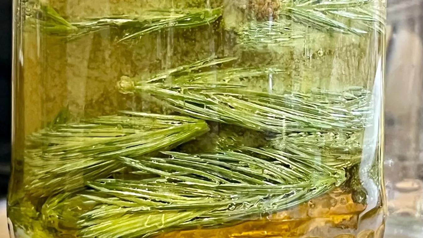 A legjobb gyógyír torokfájásra.