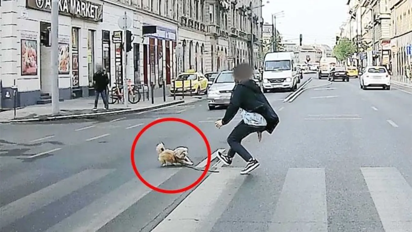 Rémálom: sokkoló videót rögzítettek a Thököly úton