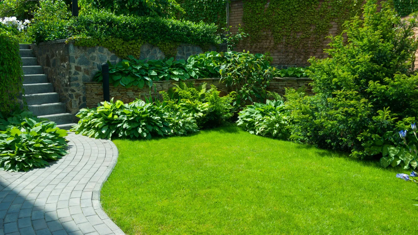 Garden,Stone,Path,With,Grass,Growing,Up,Between,The,Stones.detail