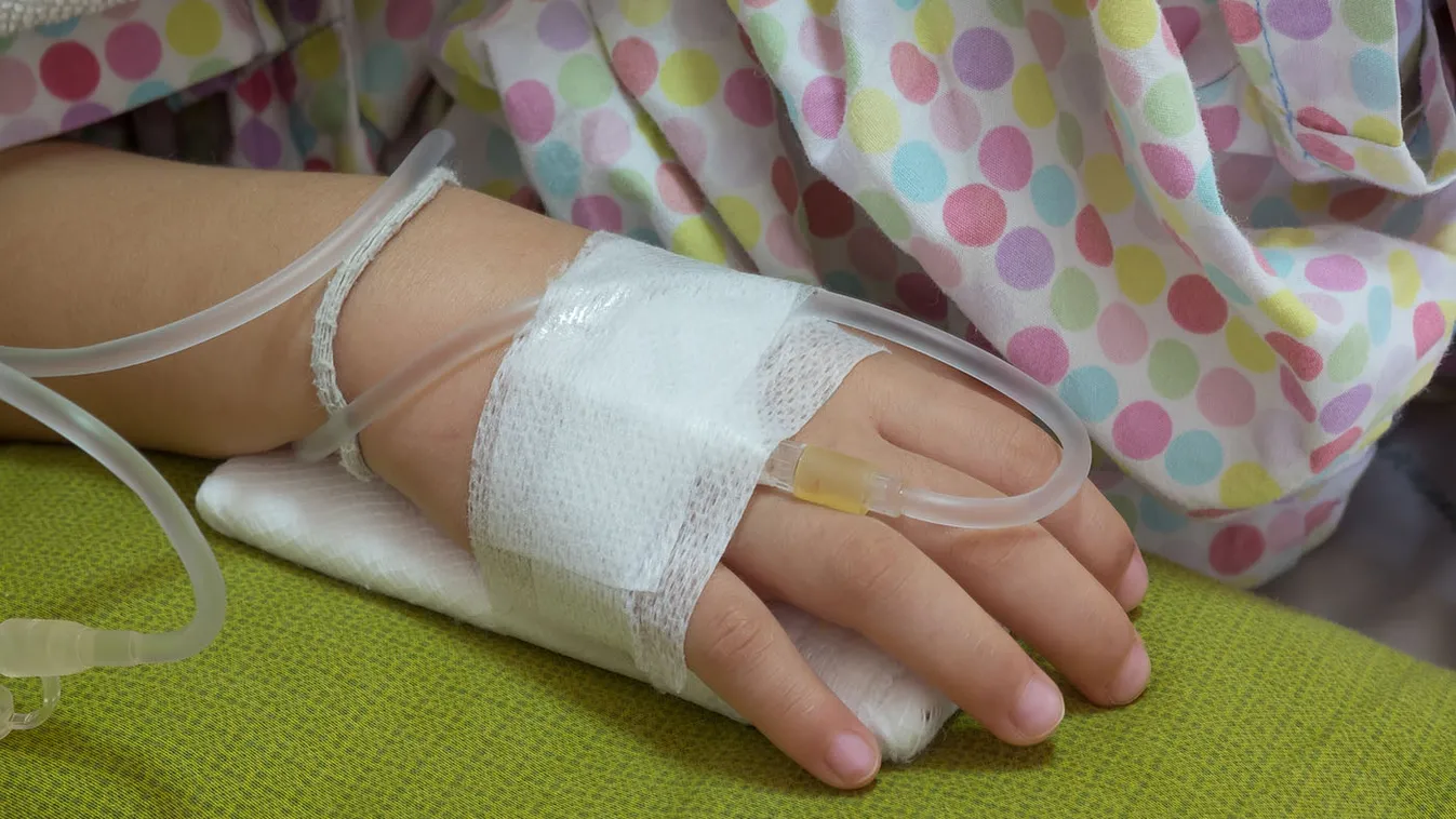 Rátámadt a 3 éves kislányra a megvadult házőrző