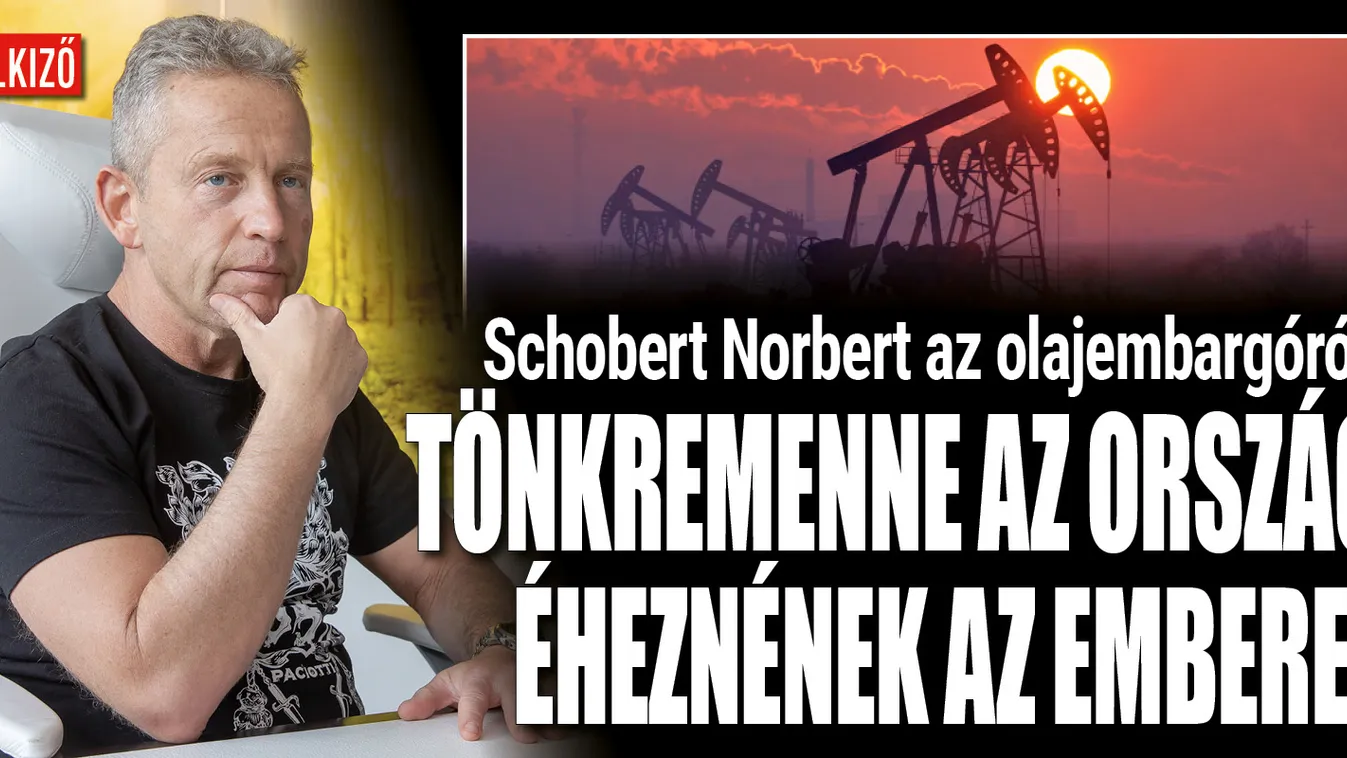Olajembargó: Schobert Norbert szerint elkeserítő a helyzet