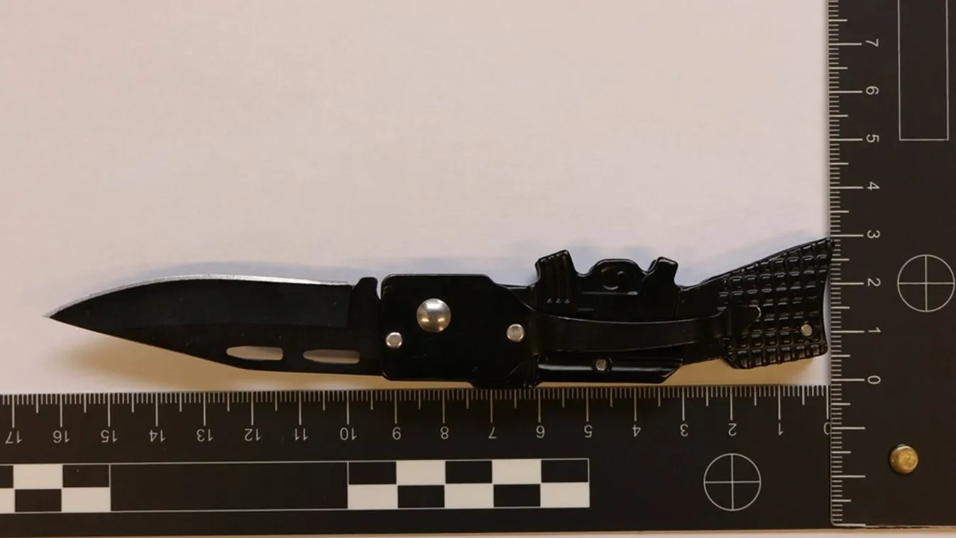 Útonállót kaptak el Kecskeméten