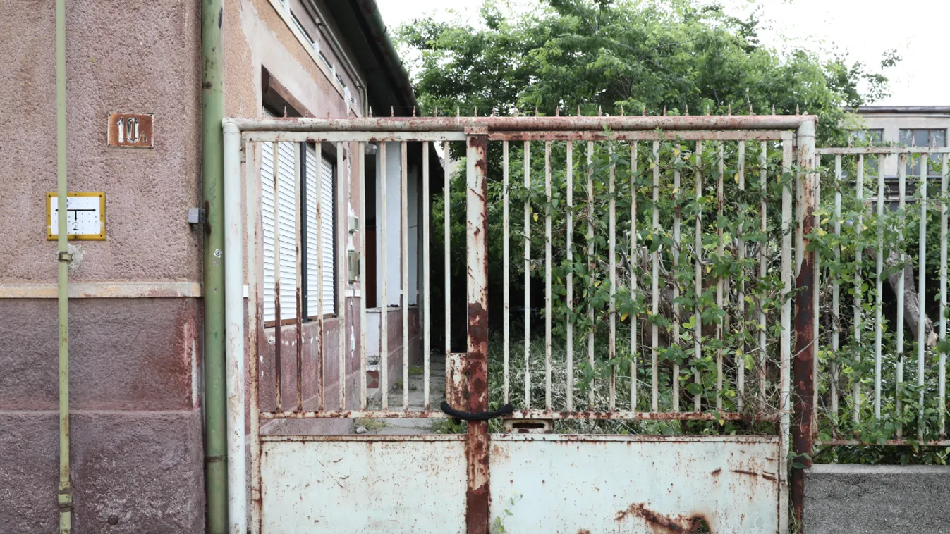 Még Zoltán is megdöbbent azon, amit a kádjában látott