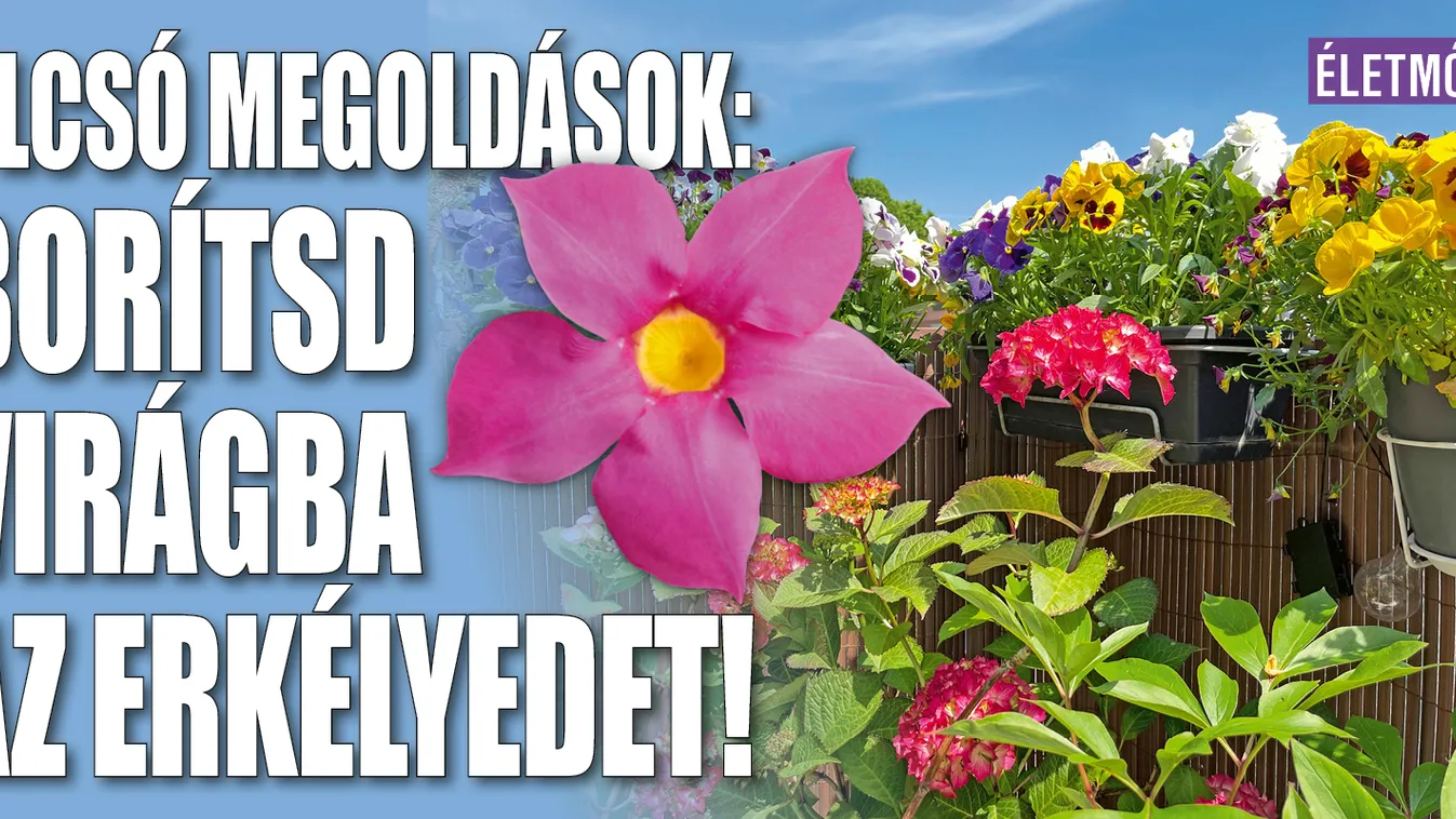 Így borítsd virágba olcsó megoldásokkal az erkélyedet