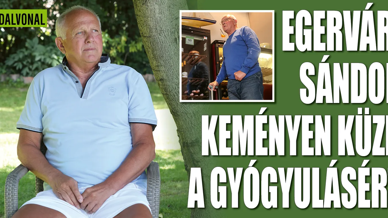 Nem segítette a gyógyulását az MTK és a Honvéd