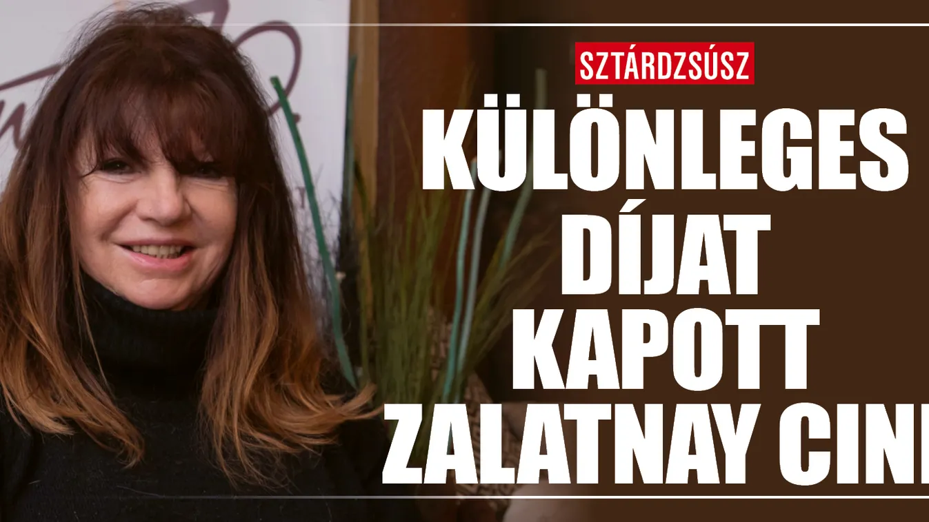 Különleges díjat kapott Zalatnay Cini
