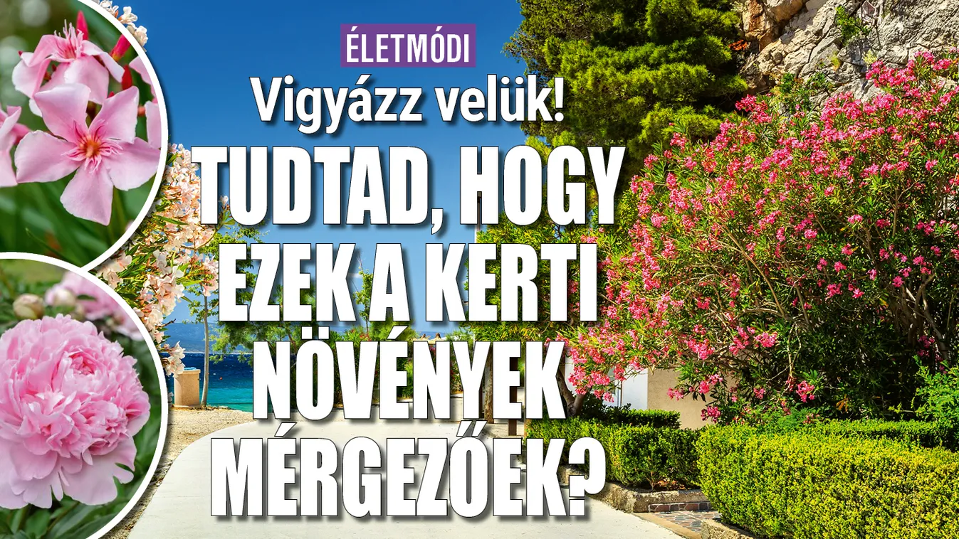 Tudtad, hogy ezek a kerti növények mérgezőek?