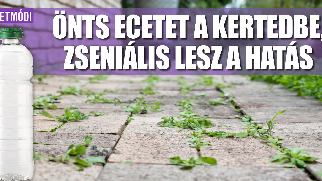 Önts ecetet a kertedbe, zseniális lesz a hatás