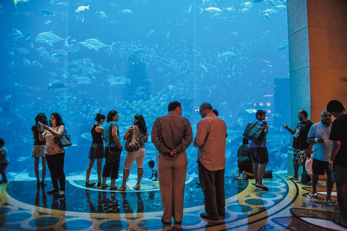 Dubai,-,August,7,,2014:,Dubai,Mall,Aquarium,On,August