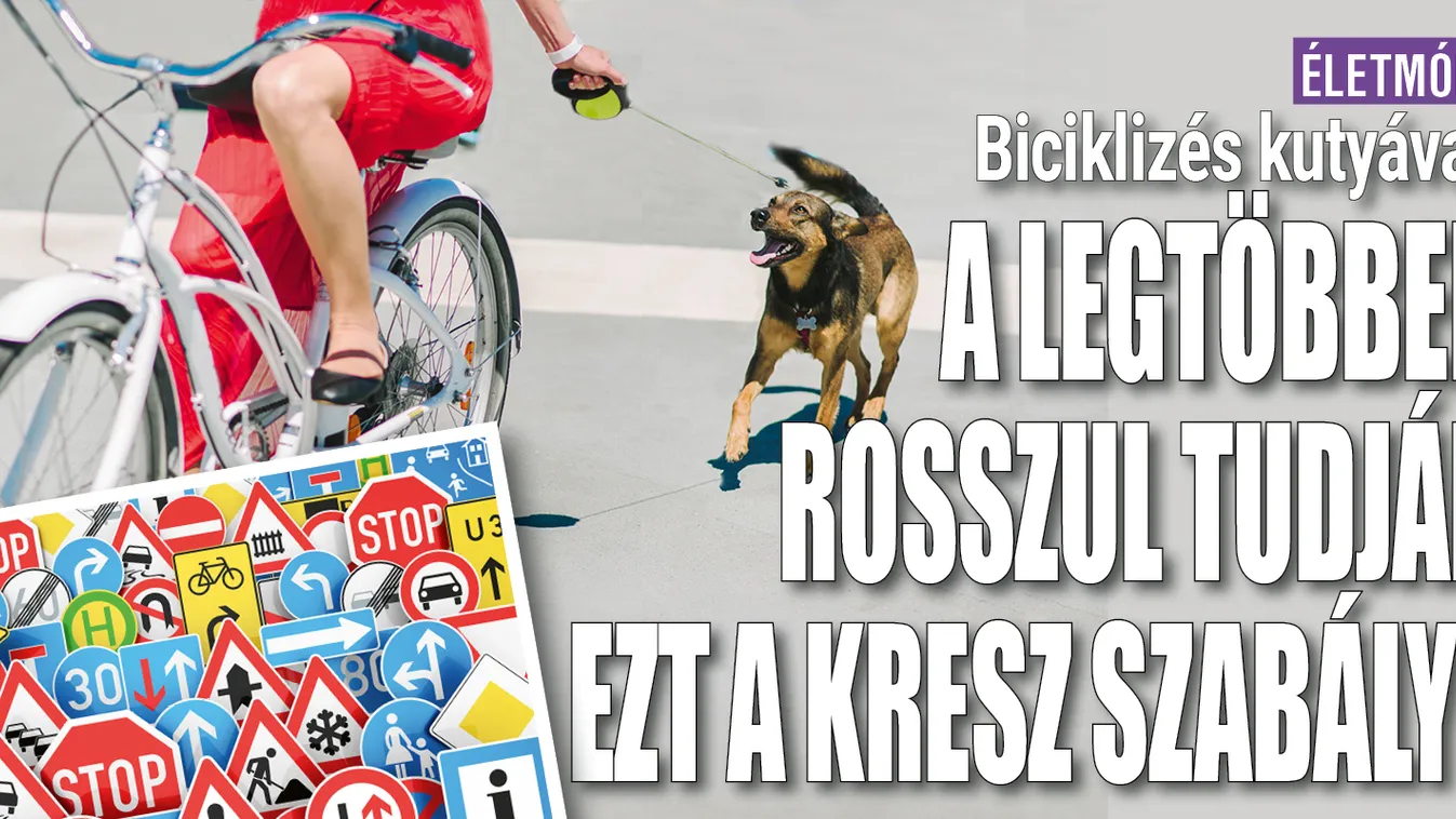 A legtöbben rosszul tudják ezt a KRESZ-szabályt