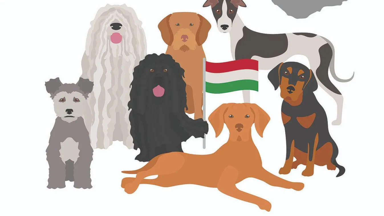 Ezek az ősi magyar kutyafajták a legnépszerűbbek itthon