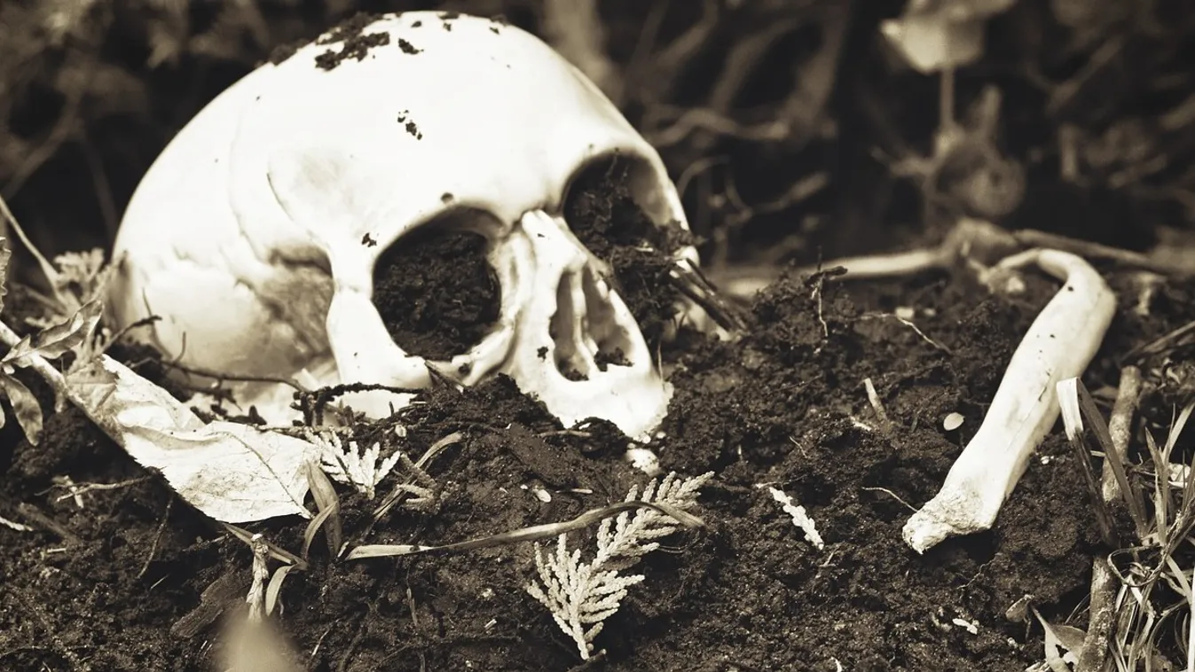 Megrázó: emberi maradványok kerültek elő a víztározóból