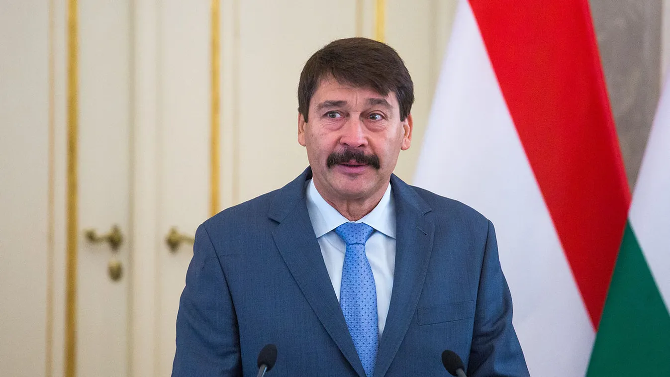 Áder János: A magyar érdekek és értékek képviseletére vállalkoztam