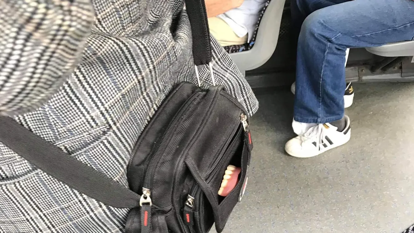 A buszon kandikált ki az utas táskájából a protkó