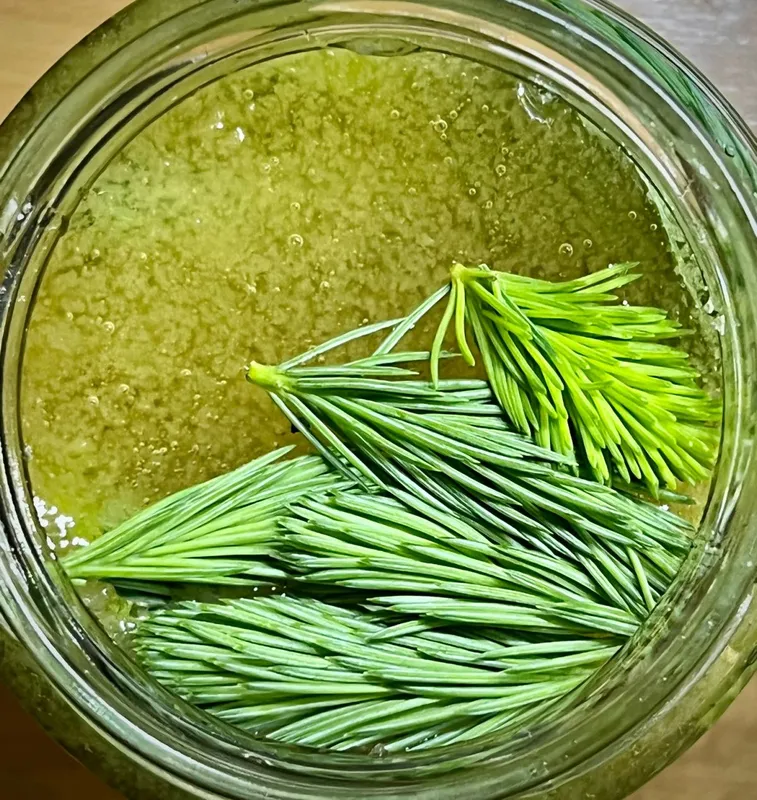 Mézzel is készíthető a fenyőrügy szirup.