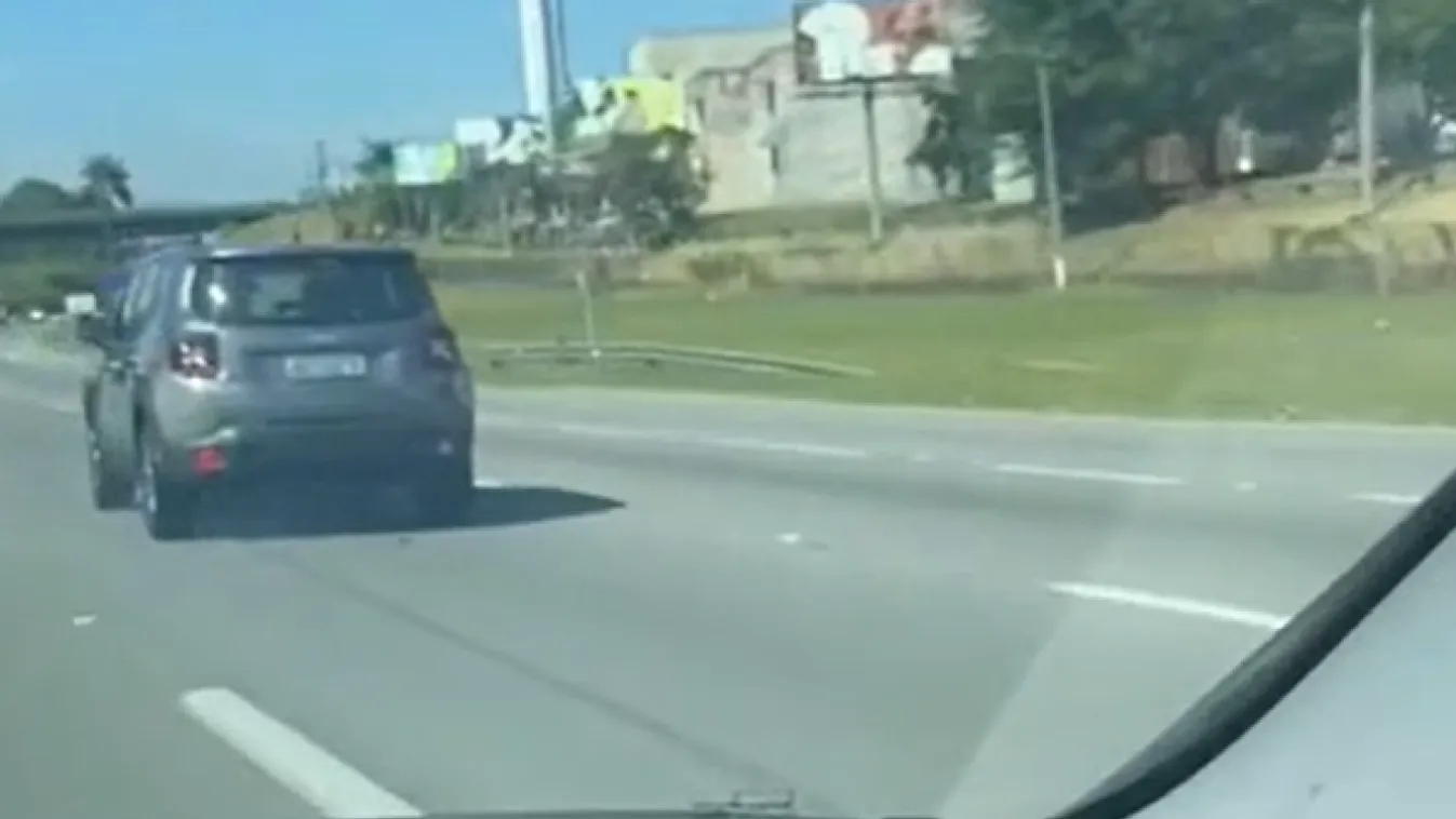 Megelőzték a kocsit, csak üvölteni tudtak attól, amit láttak