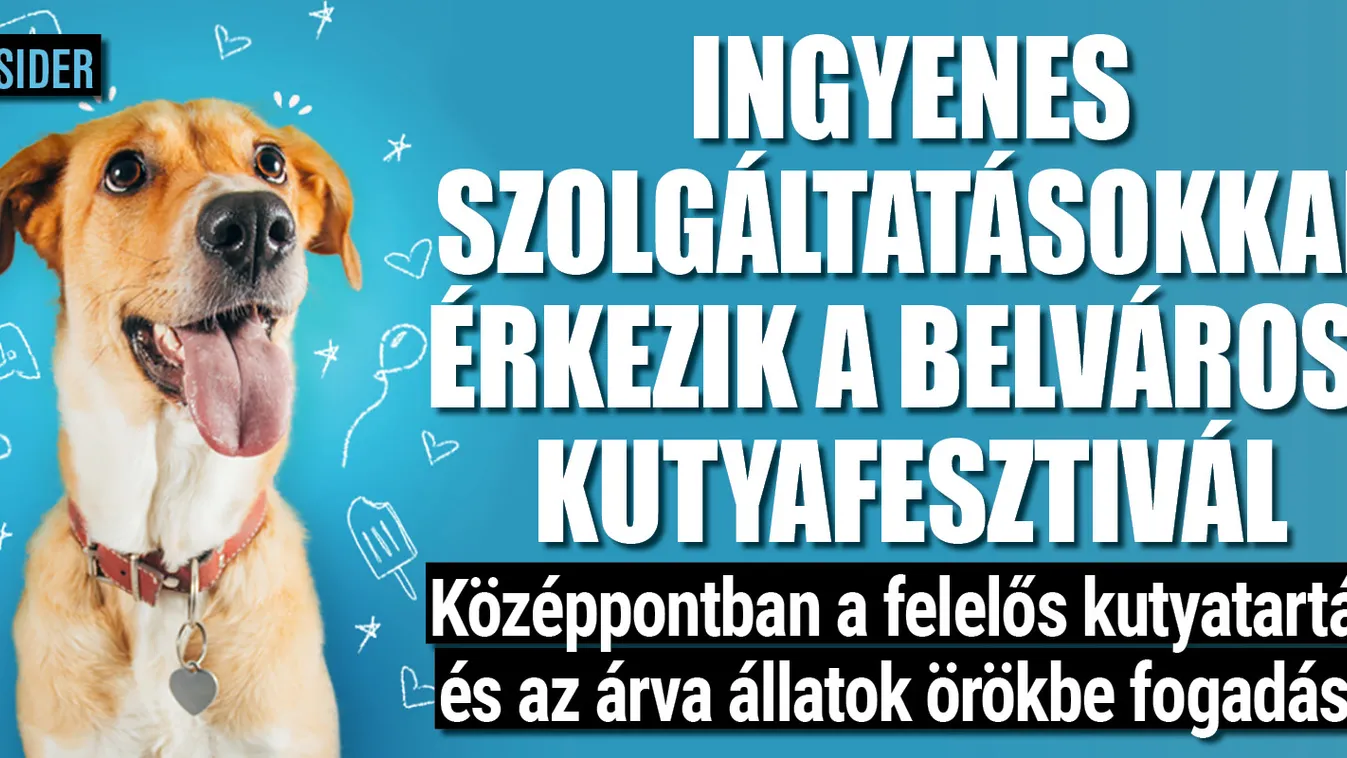 Így kell a felelős állattartást népszerűsíteni