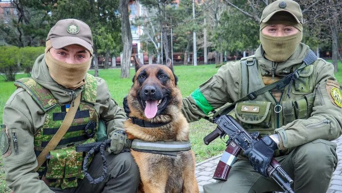 Átállt az ukránokhoz az orosz hadsereg kutyája