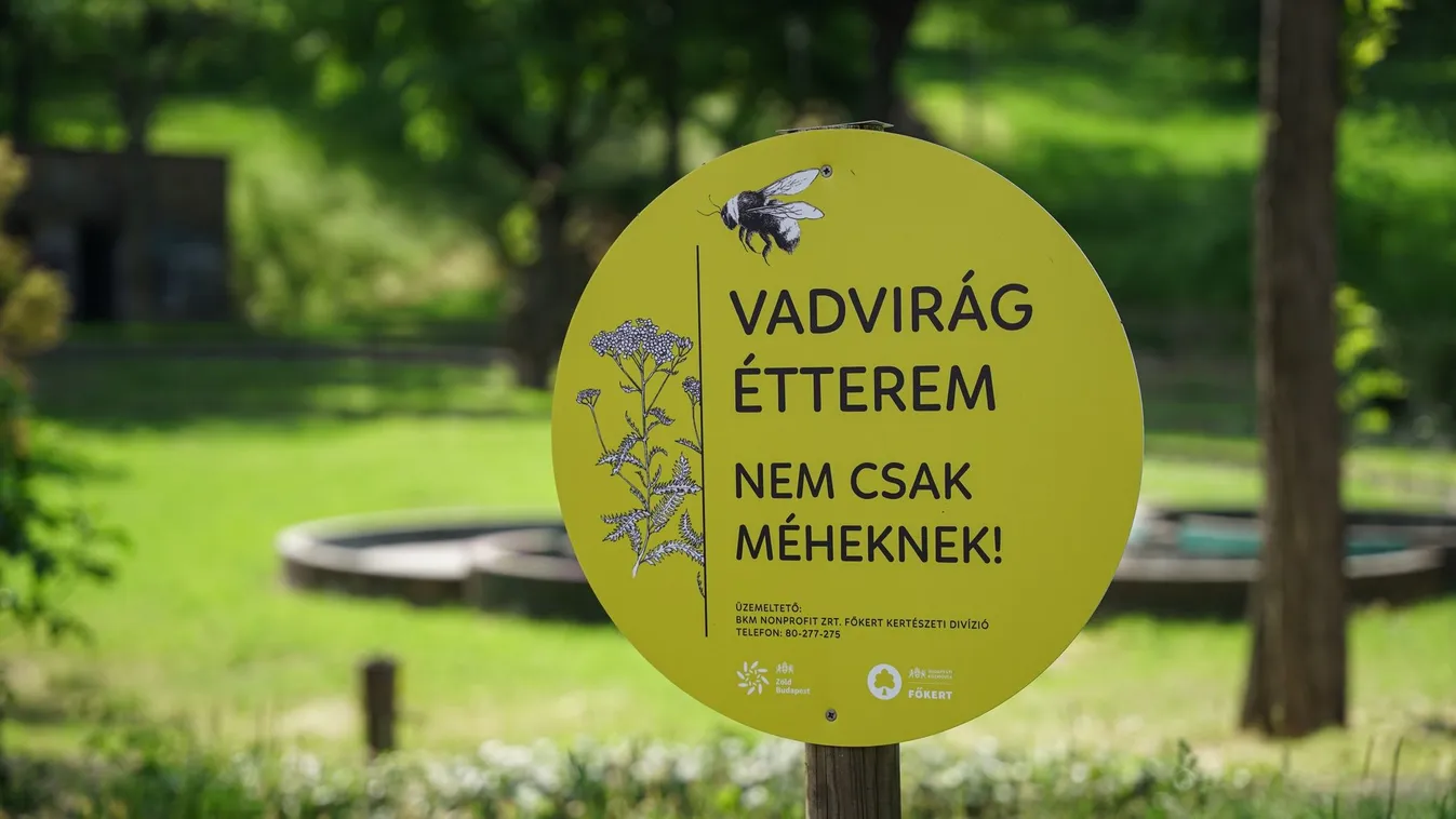 Elképesztő, ami az I. kerületi kutyafuttatóban történik