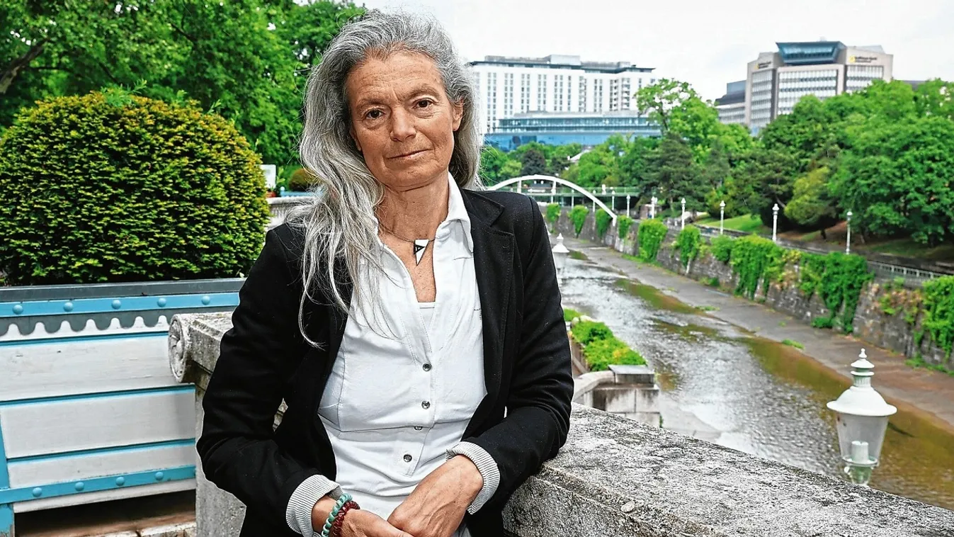 Koldulni kényszerül a Bécsben dolgozó magyar tanárnő