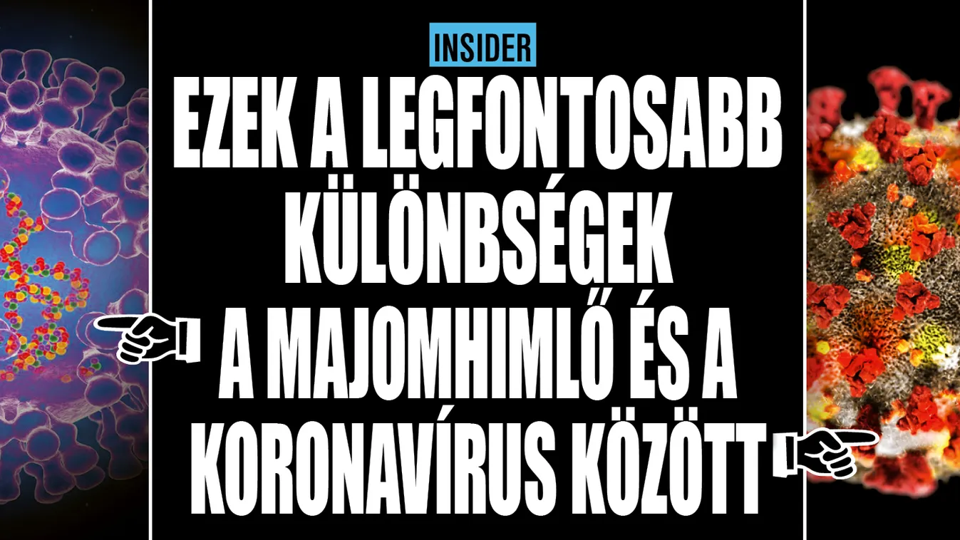 A legfontosabb különbségek a majomhimlő és a Covid között