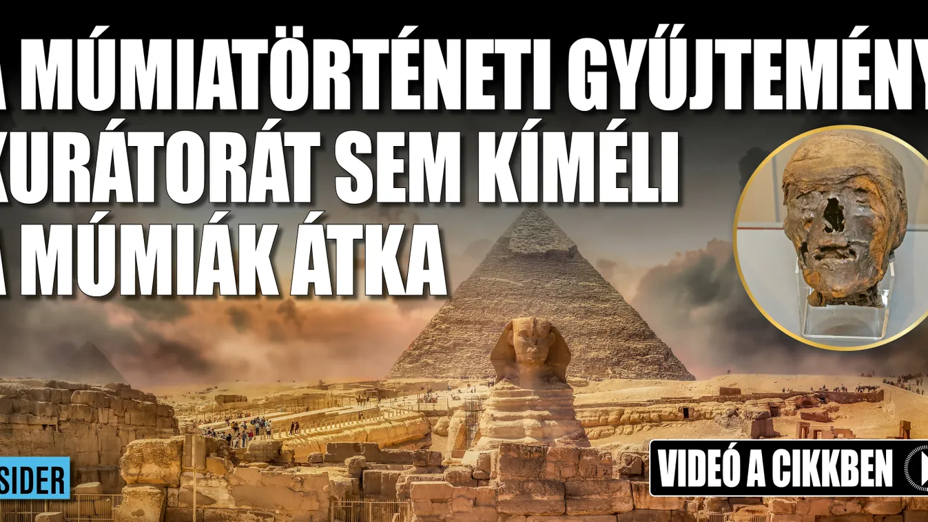 A múmiatörténeti kollekció kurátorát kísérti a múmiák átka