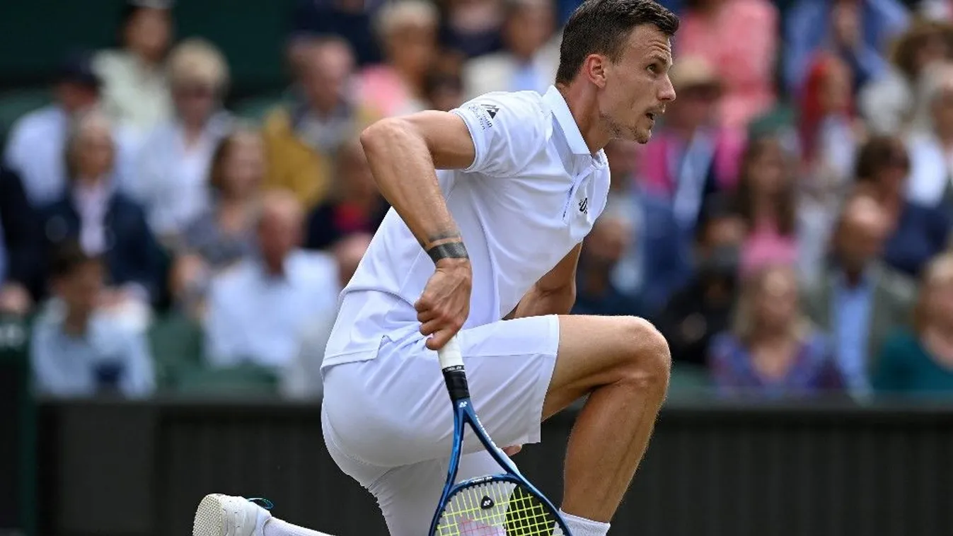 Őrületes bevétel, Fucsovics milliókat kaszált egy vereséggel