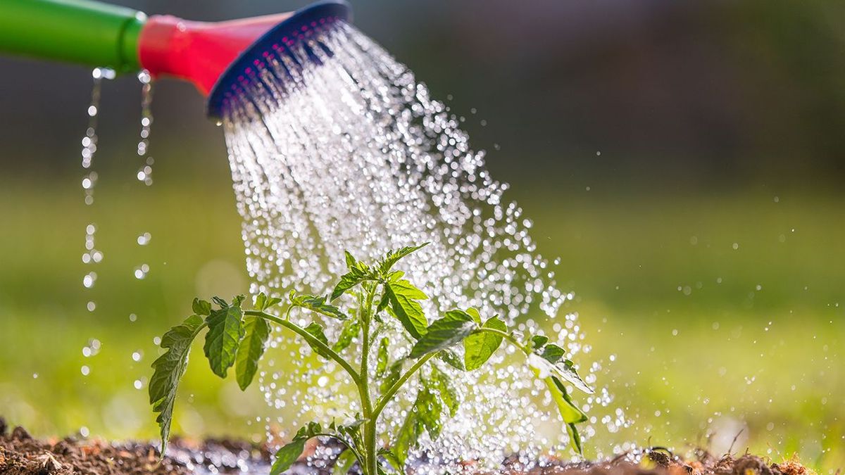 Betiltották a locsolást és a medencetöltést