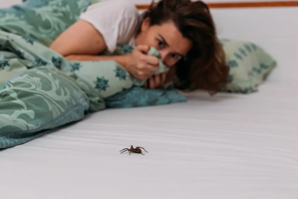 Woman,In,Bedroom,Terrified,By,Big,Spider,Crawling,Over,Her