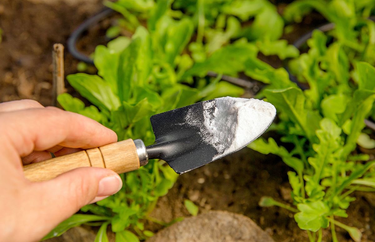 Selective,Focus,On,Person,Hand,Holding,Gardening,Trowel,Spade,With