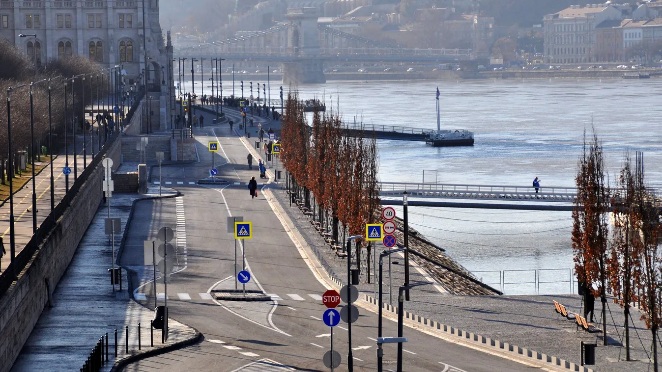 A fák haldokolnak, az emberek dühöngenek a rakparton