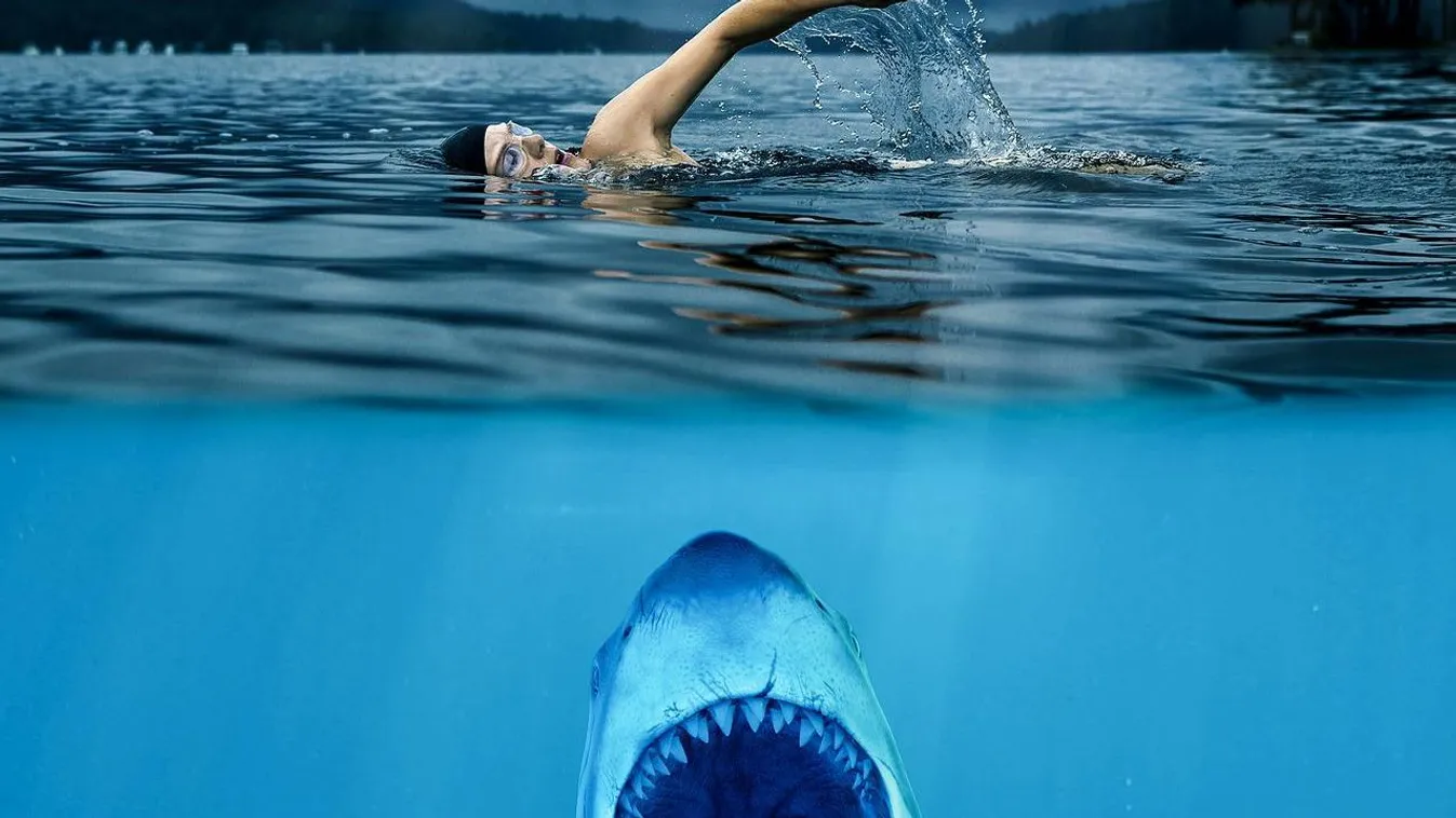 Cápatámadás cápa