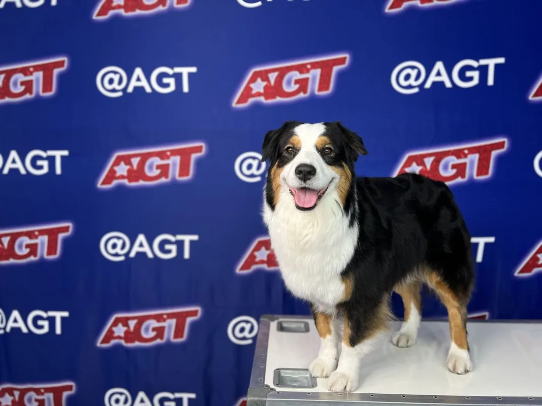 American's Got Talent