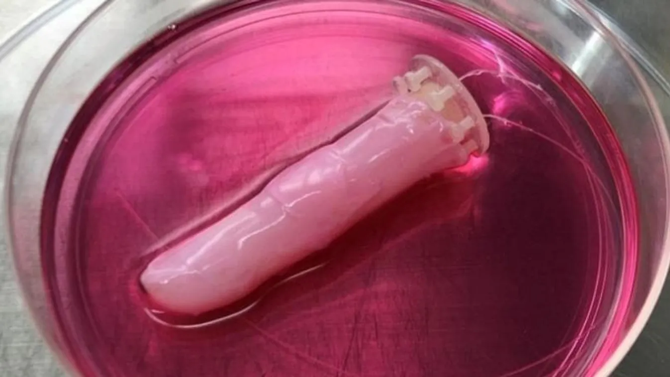 Élő bőrrel borított robotujjat fejlesztettek ki a japánok