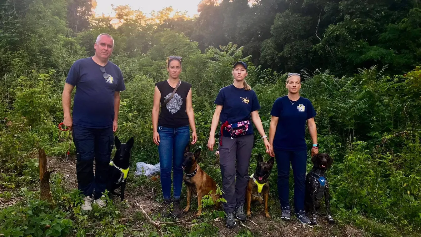Kutya mentette meg az eltűnt fiút Dunabogdányban
