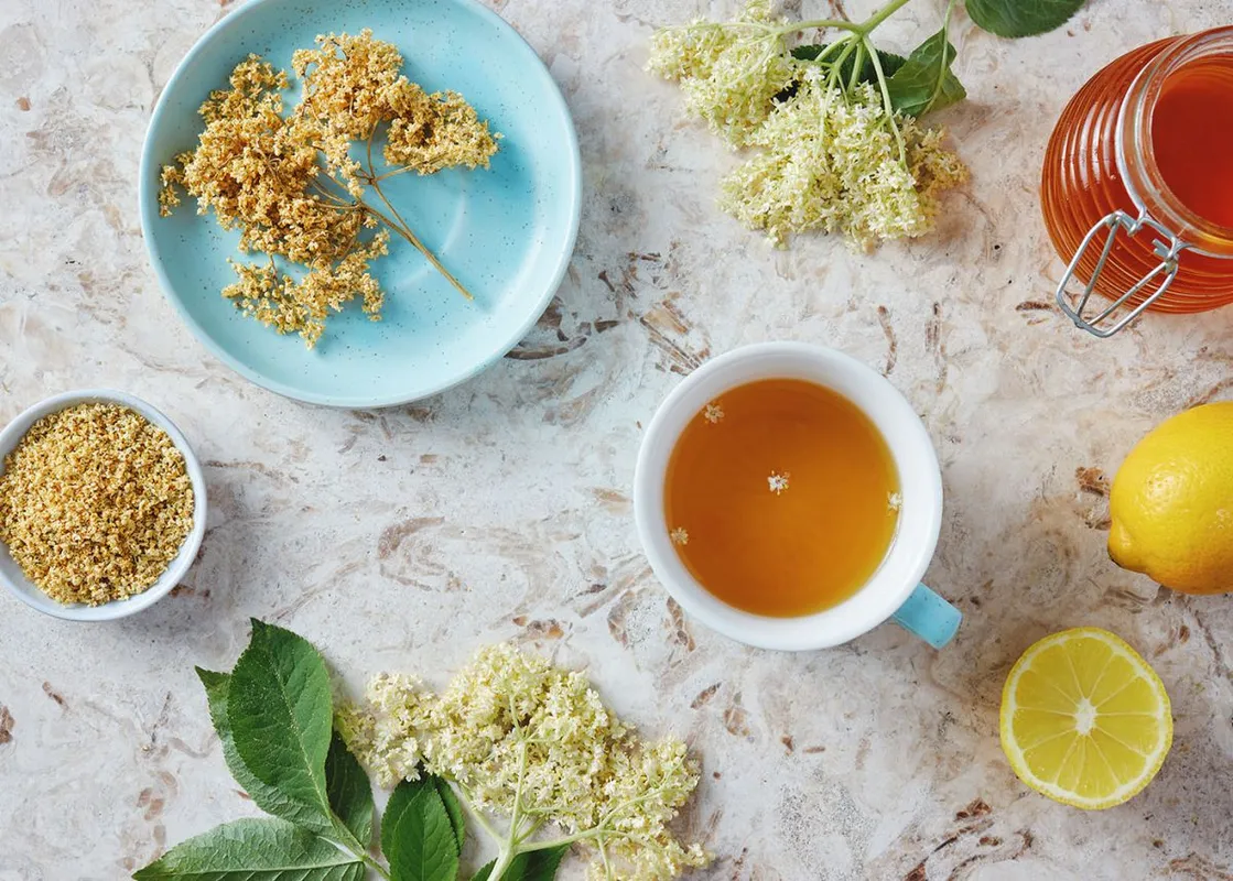 Cup,Of,Elderflower,Tea,With,Fresh,And,Dried,Flowers