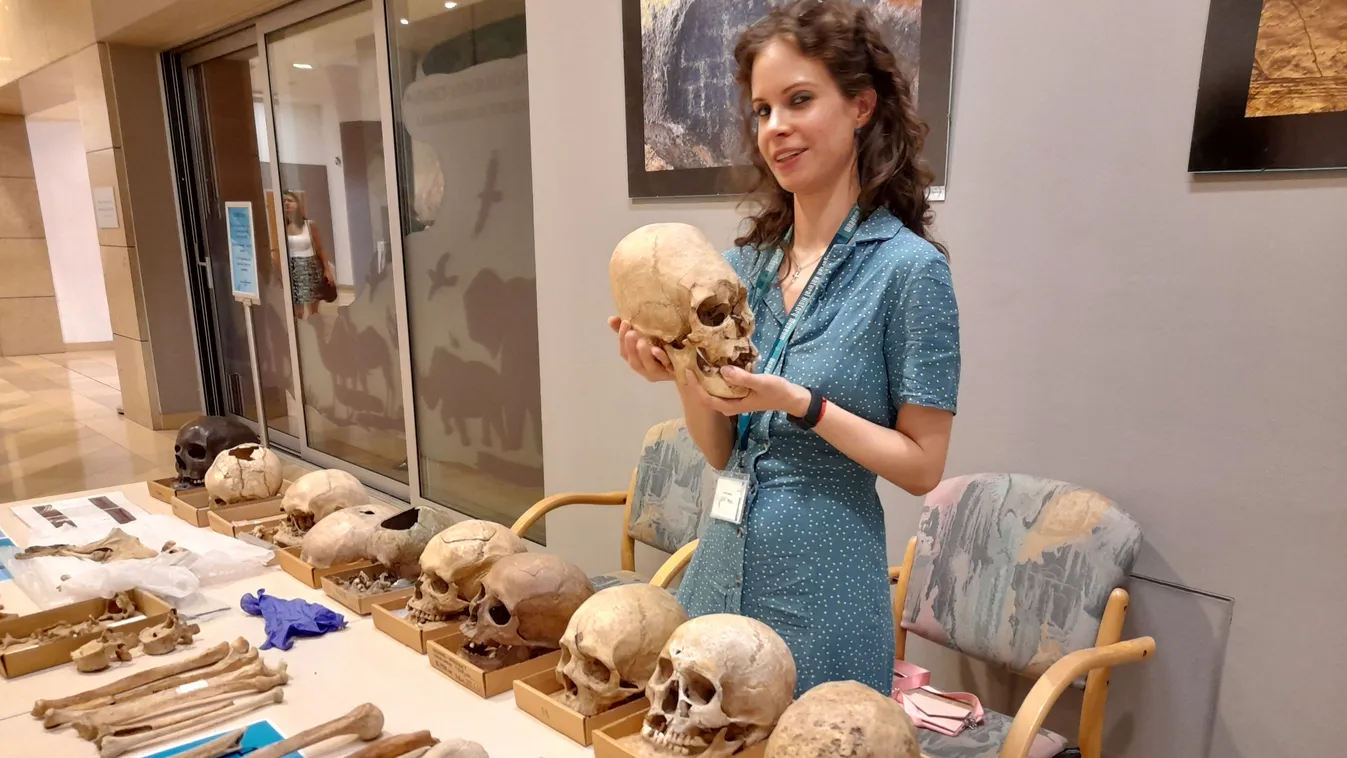 Szifiliszes halott koponyája került a kezekbe Budapesten