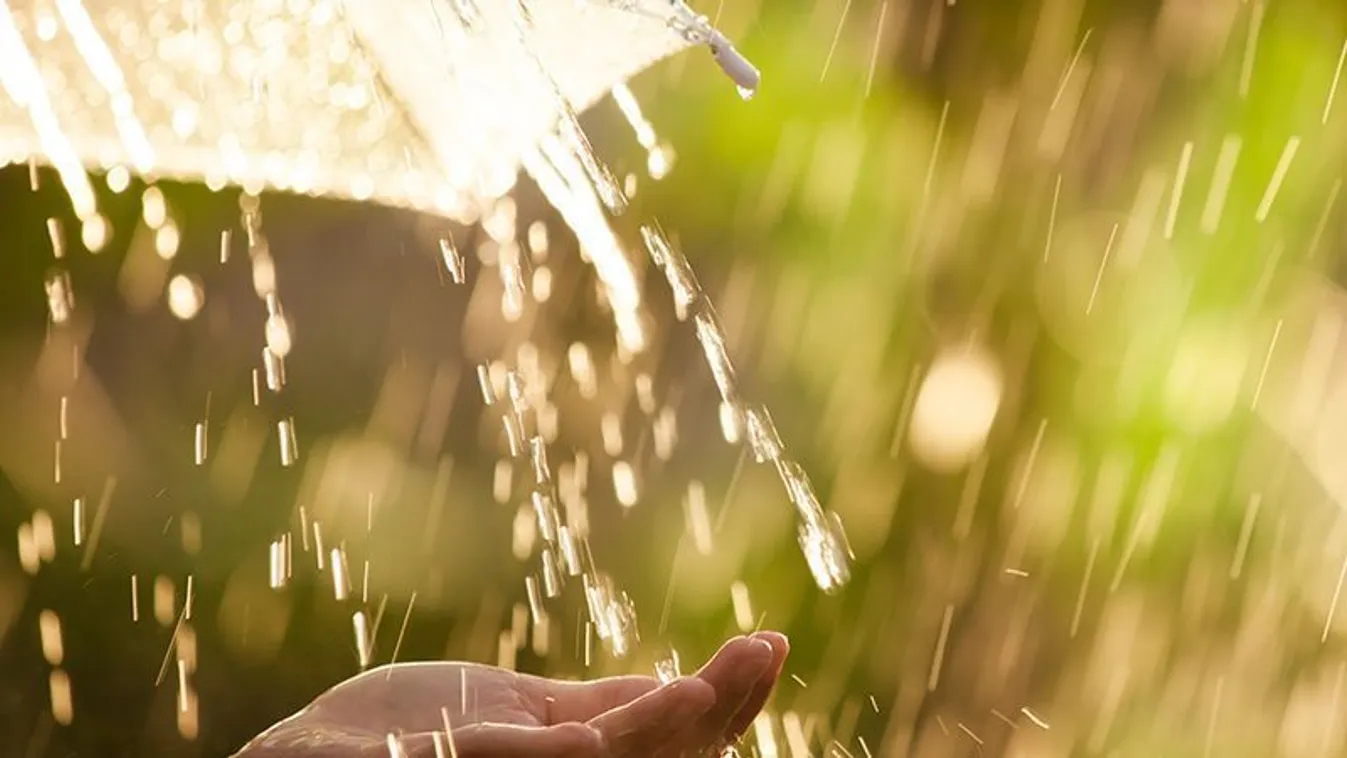 Woman,Hand,With,Umbrella,In,The,Rain,In,Green,Nature