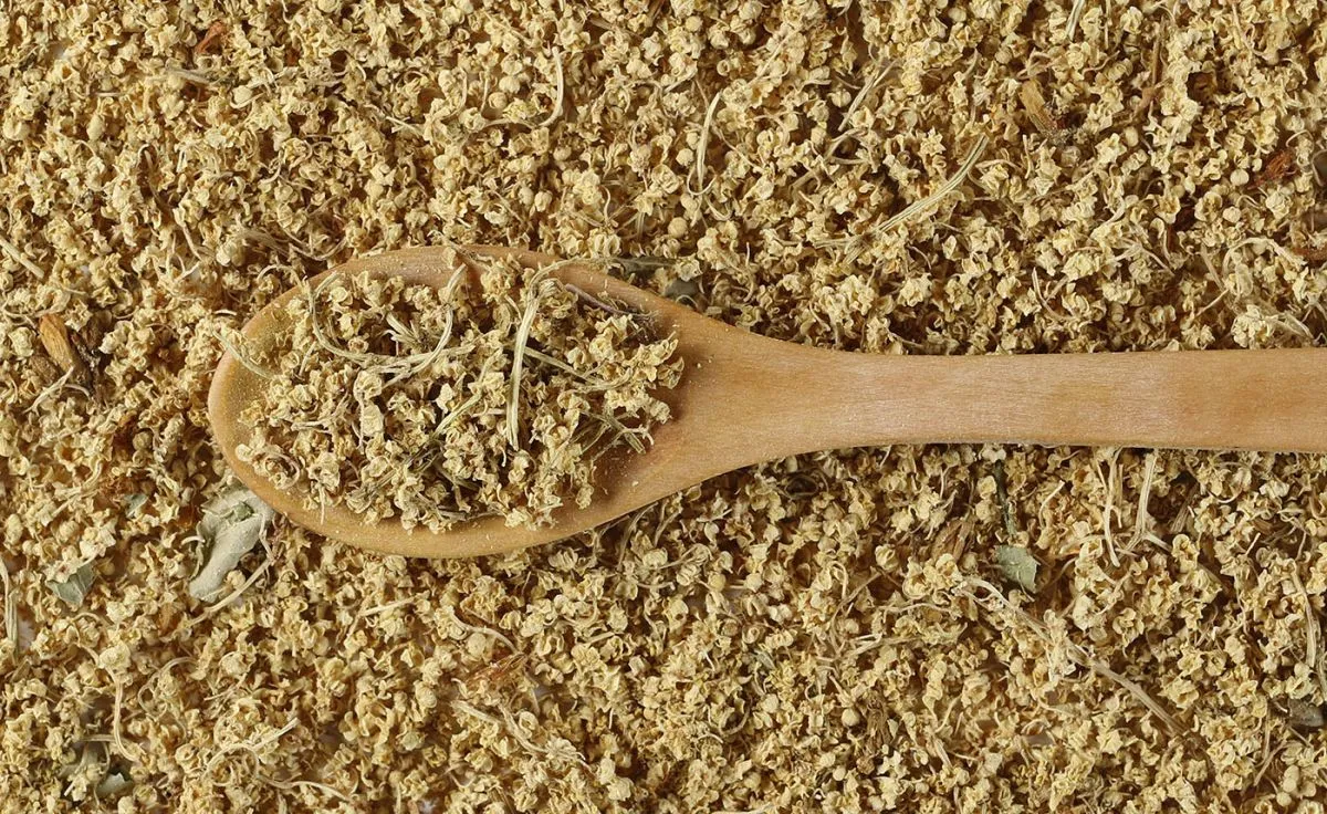Dried,And,Crushed,Elder,And,Wooden,Spoon,,Elderberry,Plant,And