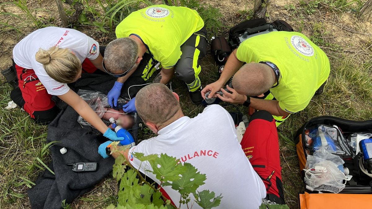 Csecsemőgyilkosság a Márfa szőlőhegyen: felkavaró részletek derültek ki